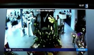 Un sanglier fait irruption dans la boutique d'une fleuriste