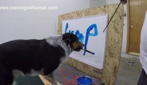 Jumpy le chien qui sait écrire son nom avec un pinceau