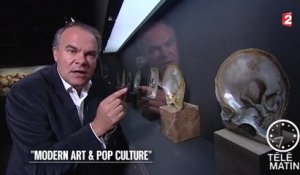 Visite guidée - Modern art & Pop culture - 2016/01/07