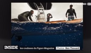 Plongée extraordinaire en Polynésie française avec les baleines à bosse