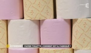 Papier toilette : comment est-il fabriqué ?