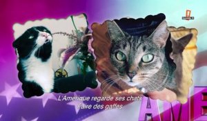 Adam Driver présente America’s funniest Cats dans le Saturday Night Live du 16/01