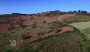 Cap Sud Ouest Pays de Tulle/Monédières -Coeur de Corrèze