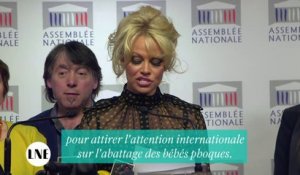 Pamela Anderson - Alerte à l'assemblée