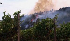 Afrique du Sud : la région du Cap en proie à des incendies