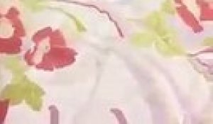 Border Son Petit Hamster Comme Un Bebe Trop Mignon Sur Orange Videos