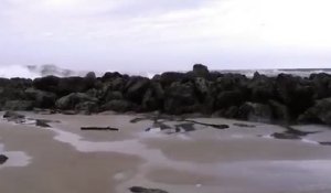 Un cameraman filme une vague impressionnante dans l'Oregon