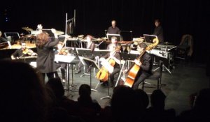 L'Ensemble instrumental de la Mayenne