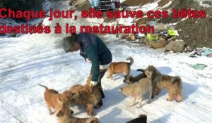 Elle accueille plus de 200 chiens chez elle pour ne pas qu'ils soient mangés