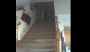 Cascade de l'année : une fillette chute dans les escalier et retombe assise en bas!