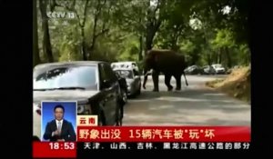 Chine: Un éléphant sauvage en ballade endommage quinze voitures