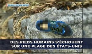 Des pieds humains s'échouent sur une plage des États-Unis