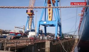 Géant des Mers. L'Emma-Maersk en cale à Brest