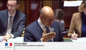 QAG - Position de la France sur le "Brexit" au prochain Conseil européen - Réponse d'H. Désir à D. Raoul - Sénat