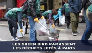 Paris: Les Green Bird ramassent les déchets que vous laissez traîner