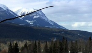 Un mort et plusieurs blessés dans deux avalanches au Canada