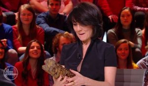 Florence Foresti, maîtresse de Cérémonie des César 2016 - Le Petit Journal du 22/02 - CANAL+