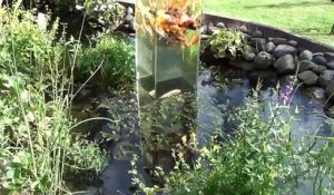 Il installe un aquarium dans un étang, la réaction des poissons est surprenante