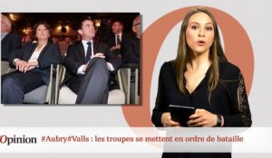 #Aubry #Valls : les troupes se mettent en ordre de bataille