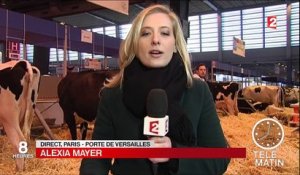 François Hollande sera présent à l'ouverture du Salon de l'agriculture