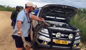 Le moteur de la voiture faisait un drôle de bruit, vous ne devinerez jamais ce qui s'y trouvait