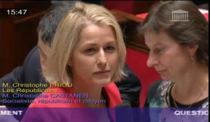 Préjudice écologique : B. Pompili répond à une question au Gouvernement