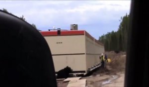 Un ouvrier sur un chantier surpris par un ours brun