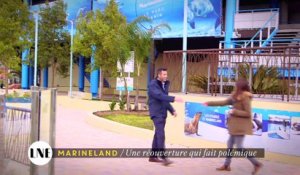 Marineland: Une réouverture qui fait polémique - La Nouvelle Edition - 21/03/16 - CANAL +