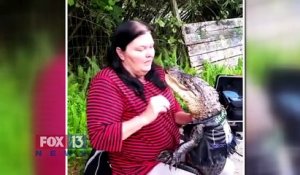 Elle lutte pour la garde de son alligator de compagnie