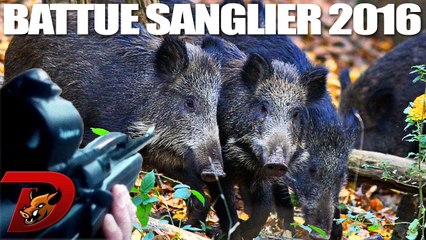 Chasse Sanglier Grande Battue Aux Sangliers Partie 1 Sur Orange Videos