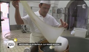 Mozzarella di bufala : la vraie mozza !