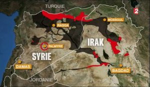 Syrie : l'État islamique a perdu Palmyre