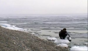 Dans les Forêts de Sibérie : le film de Sylvain Tesson