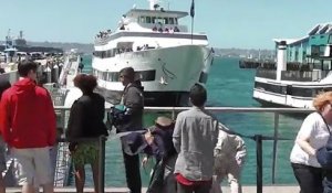 Un bateau qui arrive trop vite s'explose contre l'embarcadère