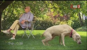 Jean-Pierre Coffe parle de son désespoir dans Thé ou café