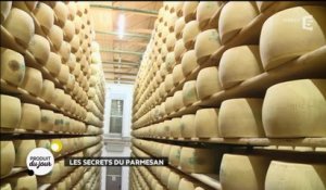 Les secrets du parmesan