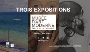 Teaser | 3 expositions au Musée d'Art moderne de la Ville de Paris