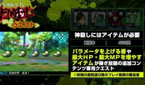 Shin Megami Tensei IV Final - Video DLC #2