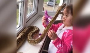 Une fillette de 3 ans fait un câlin à un python de 2,5 mètres (vidéo)