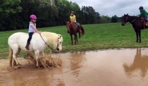 Un poney joue dans une flaque d'eau