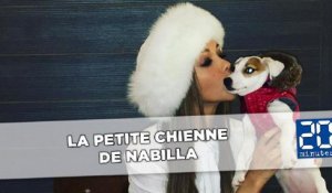 La dure vie de Pita, la petite chienne de Nabilla
