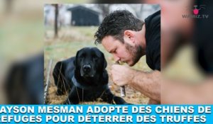 Jayson Mesman adopte des chiens de refuges pour déterrer des truffes ! L'histoire dans la minute chien #191