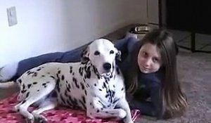 Cet homme photographie sa fille et son dalmatien, ce que le chien fait est trop cool !