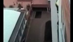 Un homme escalade un balcon pour aller sauver un chien