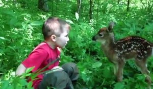 Enfants VS insectes - Compilation adorable