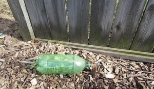 Piège à souris avec une bouteille en plastique