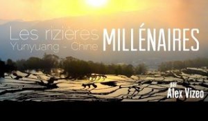 CHINE : les Rizières millénaires de YuanYang