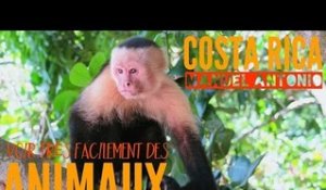 COSTA RICA : le parc pour voir FACILEMENT des animaux et de très PRÈS !