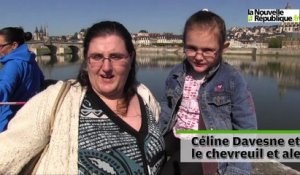 VIDEO (41) Un chevreuil coincé sur une barque en bord de Loire à Blois