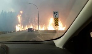 Une voiture traverse une forêt en flammes